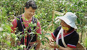 3000畝原生態(tài)茶園 源頭把控品質(zhì)