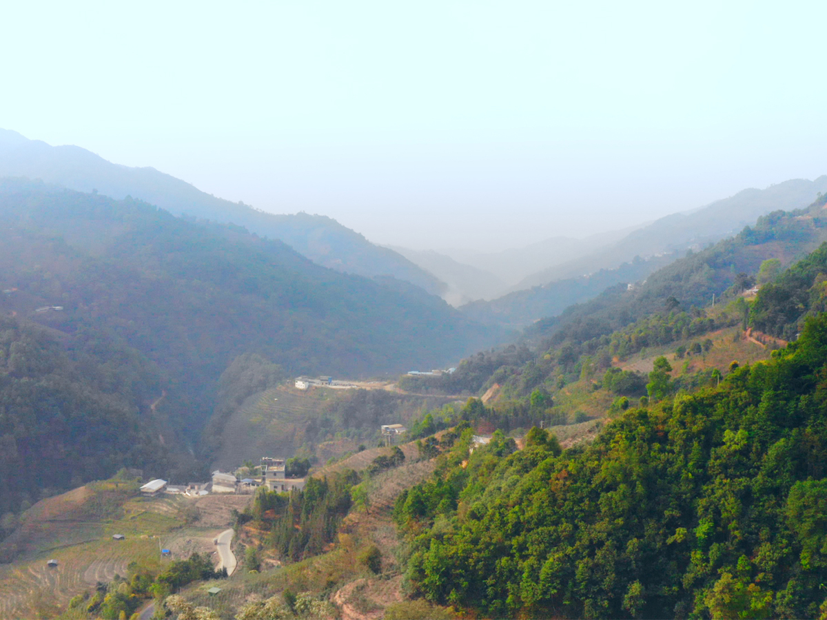 懂過(guò)茶山