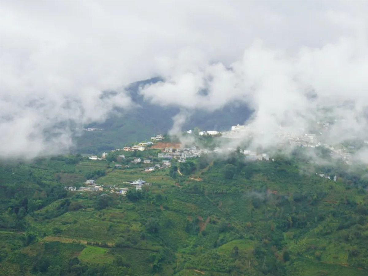 勐庫(kù)東半山