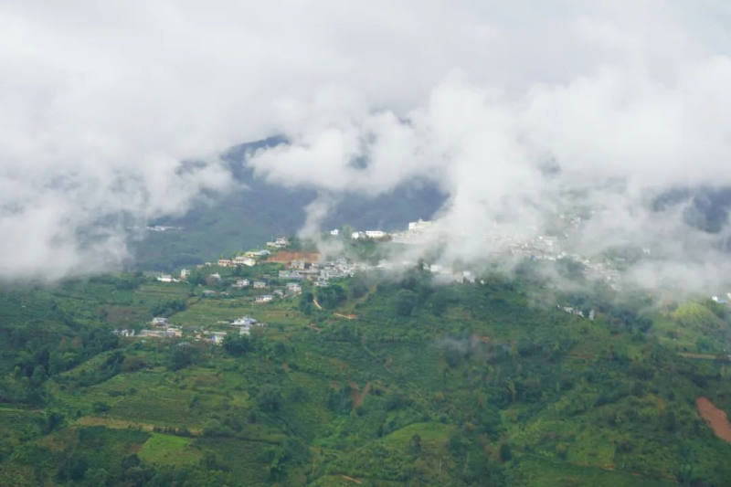 勐庫東半山