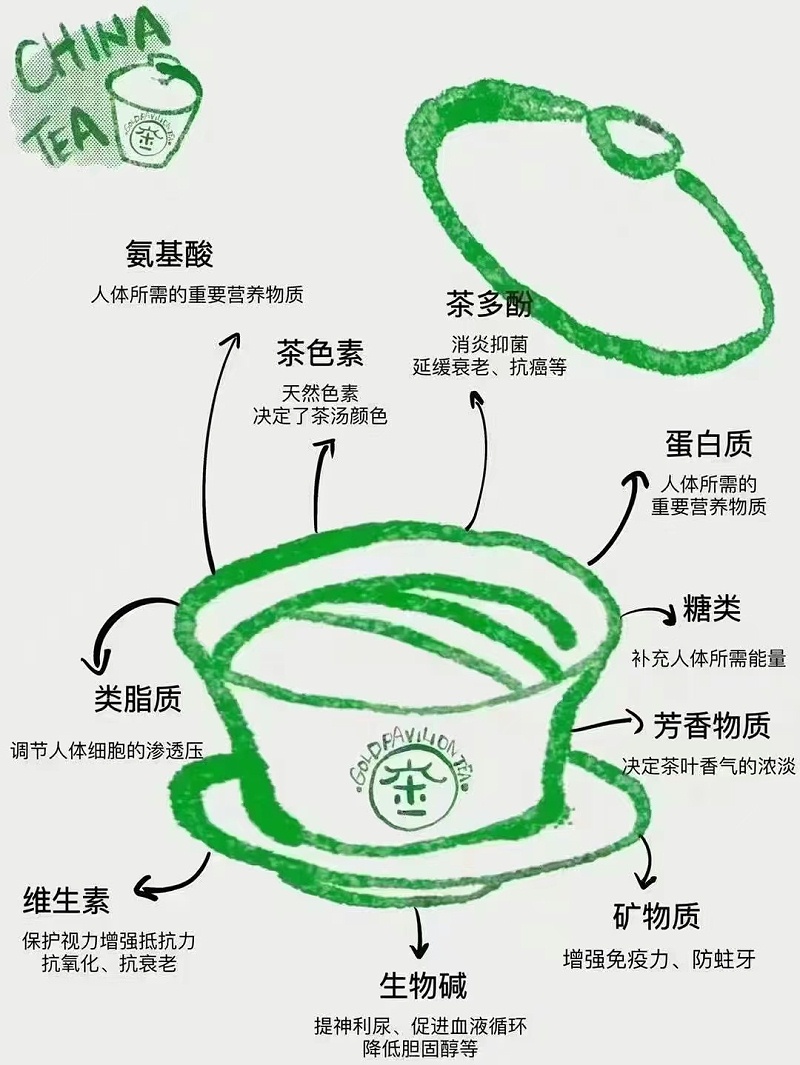 茶葉的內(nèi)含物質(zhì)