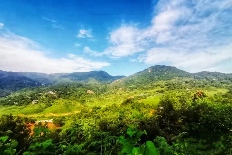 永德班卡古茶園