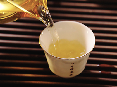 普洱茶常識(shí)