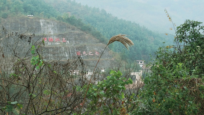 冰島茶山